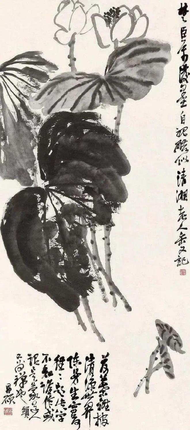 师百卉画的最新价格-“师百卉画作最新估价”