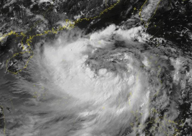 最新广东台风动态通报