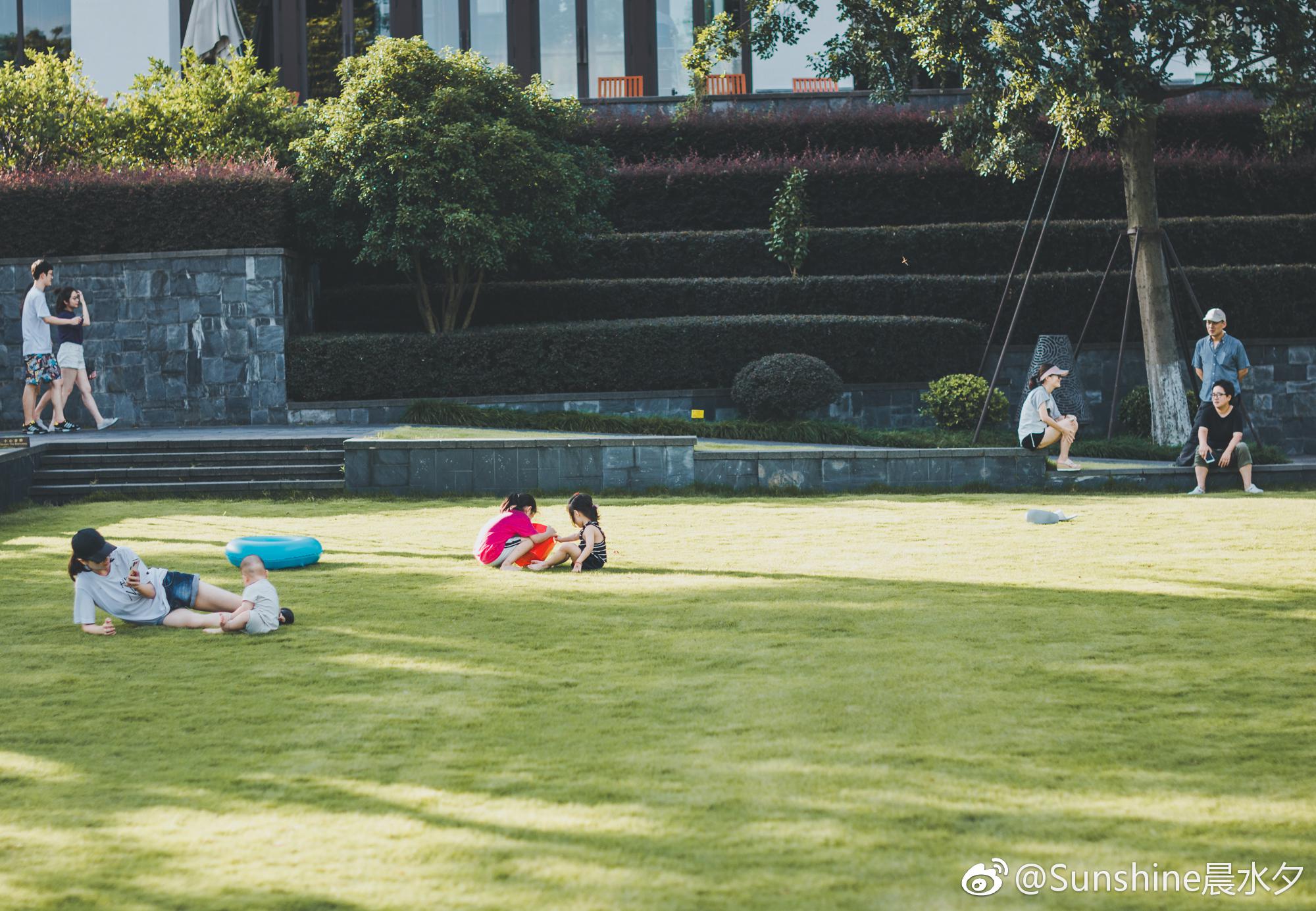 夏日阳光正好，苏州炎炎夏日带来热情活力！🌞🌼