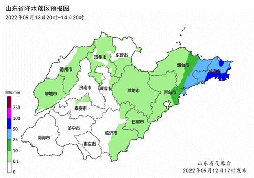 台风山东最新动态，风雨共度，温暖守护在行动