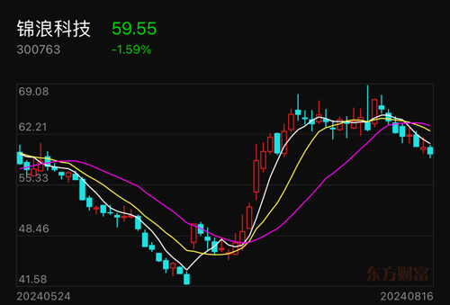 锦浪科技最新解析