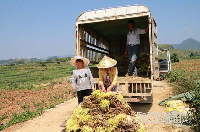 贵州安顺湖畔奇遇，温馨救援传递希望