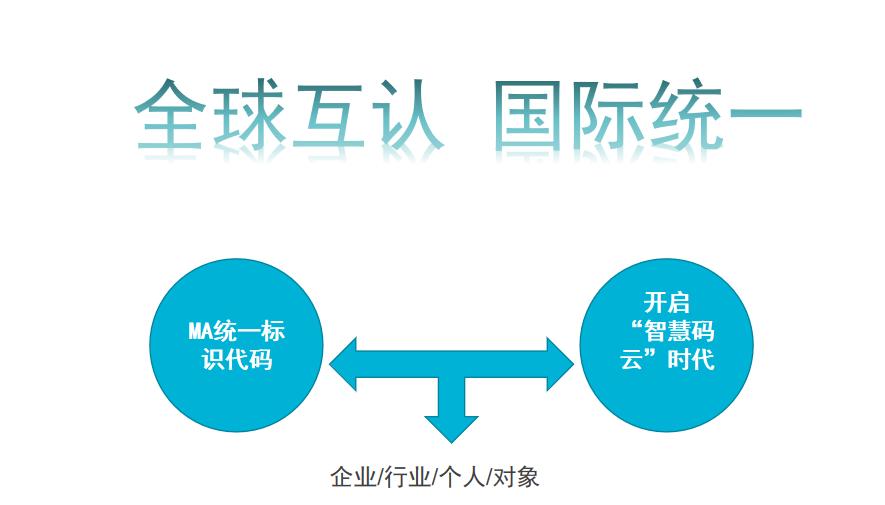 体验全新升级版网站域名访问之旅