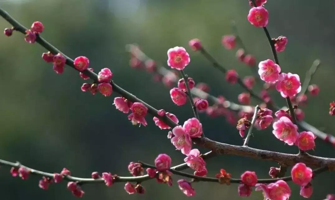 安阳中州花都最新动态揭晓，精彩资讯不容错过！